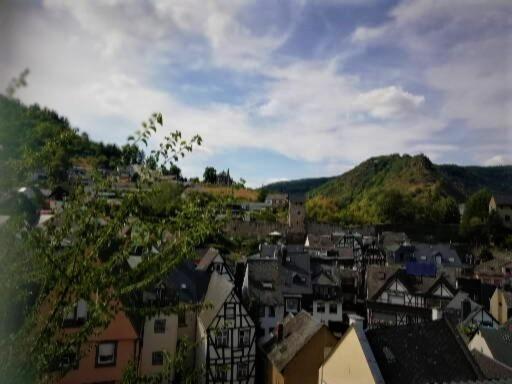 Hotel Zum Froehlichen Weinberg Cochem Zewnętrze zdjęcie